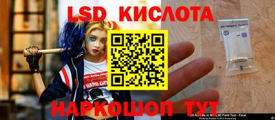 ешки Новодвинск