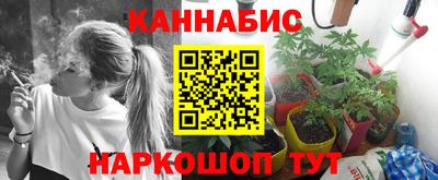 молекула духа Новокубанск