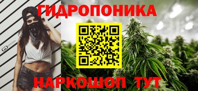 молекула духа Новокубанск