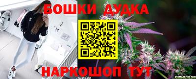 молекула духа Новокубанск