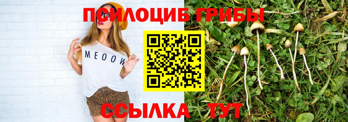 Галлюциногенные грибы Magic Shrooms  Псилоцибиновые грибы MAGIC MUSHROOMS  Вход с VPN  Сухой Лог 