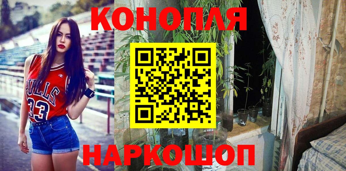 Каннабис планчик  Шишки марихуана OG Kush  Вход с VPN  Шишки марихуана план  Сухой Лог 